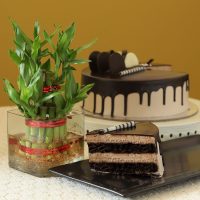 2-layer-bamboo-eggless-chocolate-cake_1.jpg