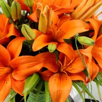 blissful-orange-lilies-in-fishbowl-vase_3.jpg