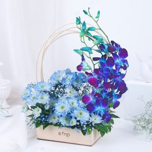 Blue Orchid Oasis Delight