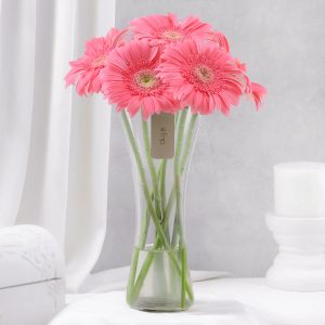 Blushing Beauty Gerbera Arrangement