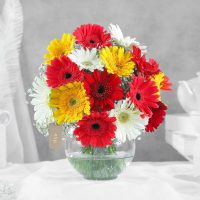 classy-mix-of-gerbera-blossoms_1.jpg