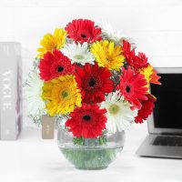 classy-mix-of-gerbera-blossoms_2.jpg