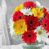 classy-mix-of-gerbera-blossoms_3.jpg