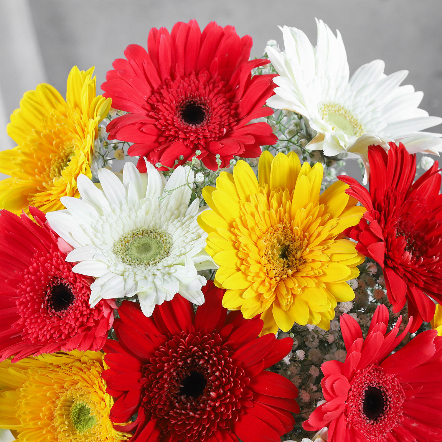 classy-mix-of-gerbera-blossoms_4.jpg