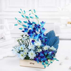 Dreamy Desire Orchids N Daisies Arrangement