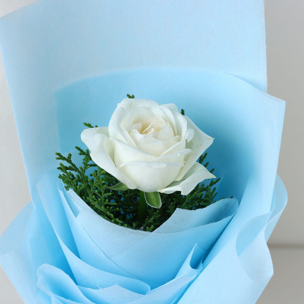 Elegant White Rose Sentiments – Zestta Delight