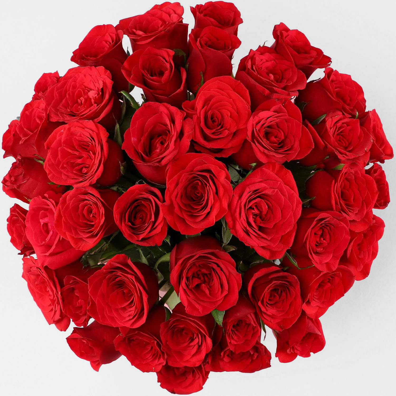 extravagant-40-red-roses-arrangement_3.jpg