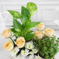 green-babies-n-floral-beauties-gift-tray_2.jpg
