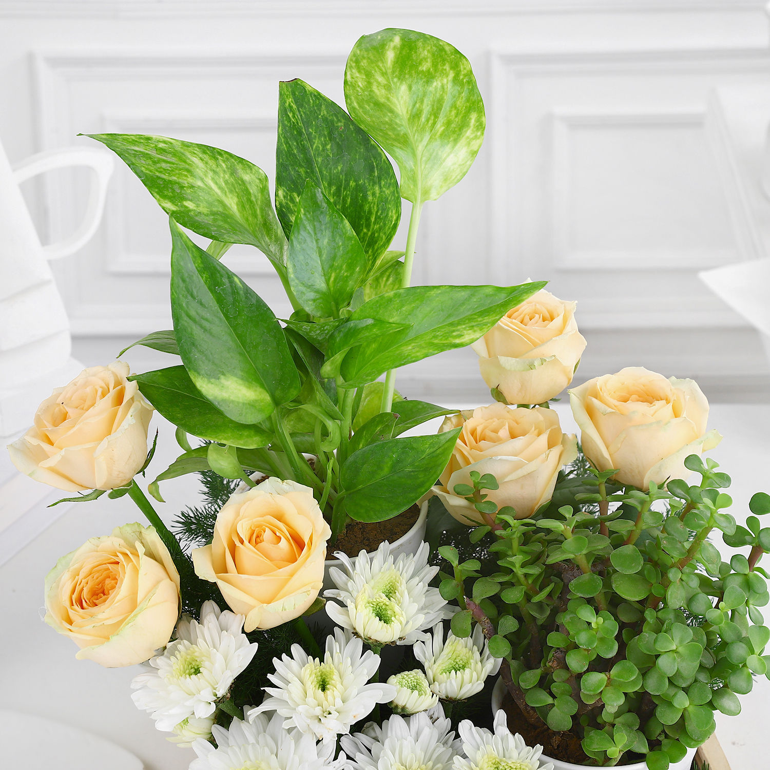 green-babies-n-floral-beauties-gift-tray_2.jpg