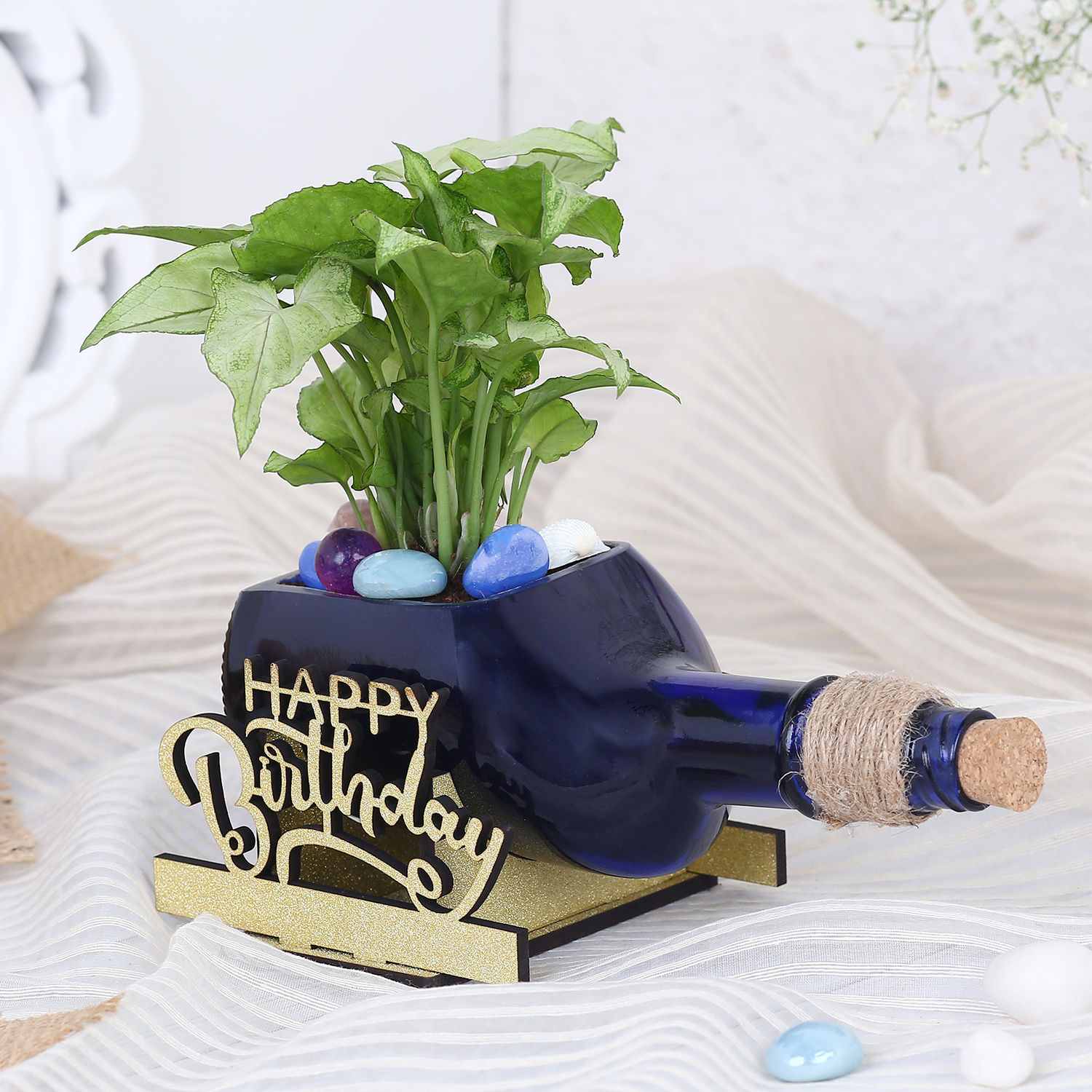 happy-birthday-syngonium-plant-n-cake-combo_4.jpg