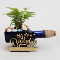 happy-birthday-syngonium-plant-n-cake-combo_7.jpg