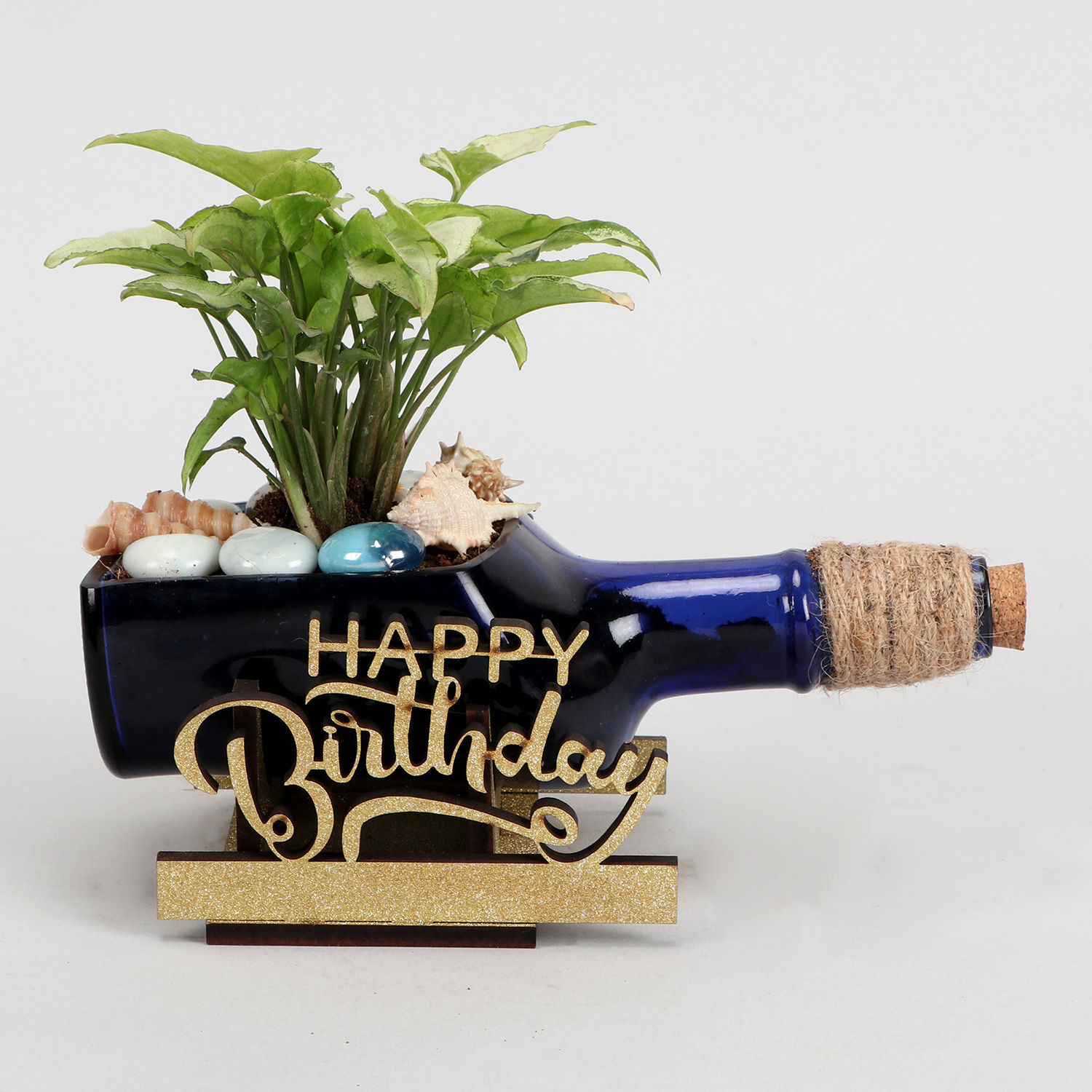 happy-birthday-syngonium-plant-n-cake-combo_7.jpg