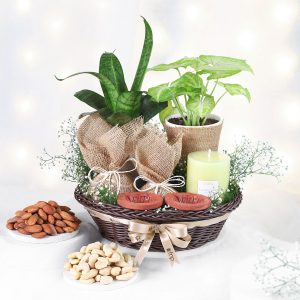 Illuminated Greens Diwali Hamper