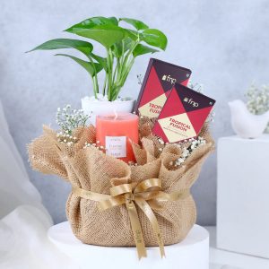 Jasmine Whispers N Chocolate Dreams