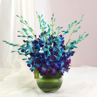 land-of-beauty-vase-arrangement_1.jpg