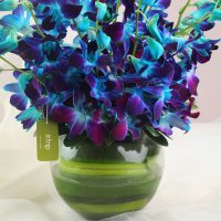 land-of-beauty-vase-arrangement_3.jpg