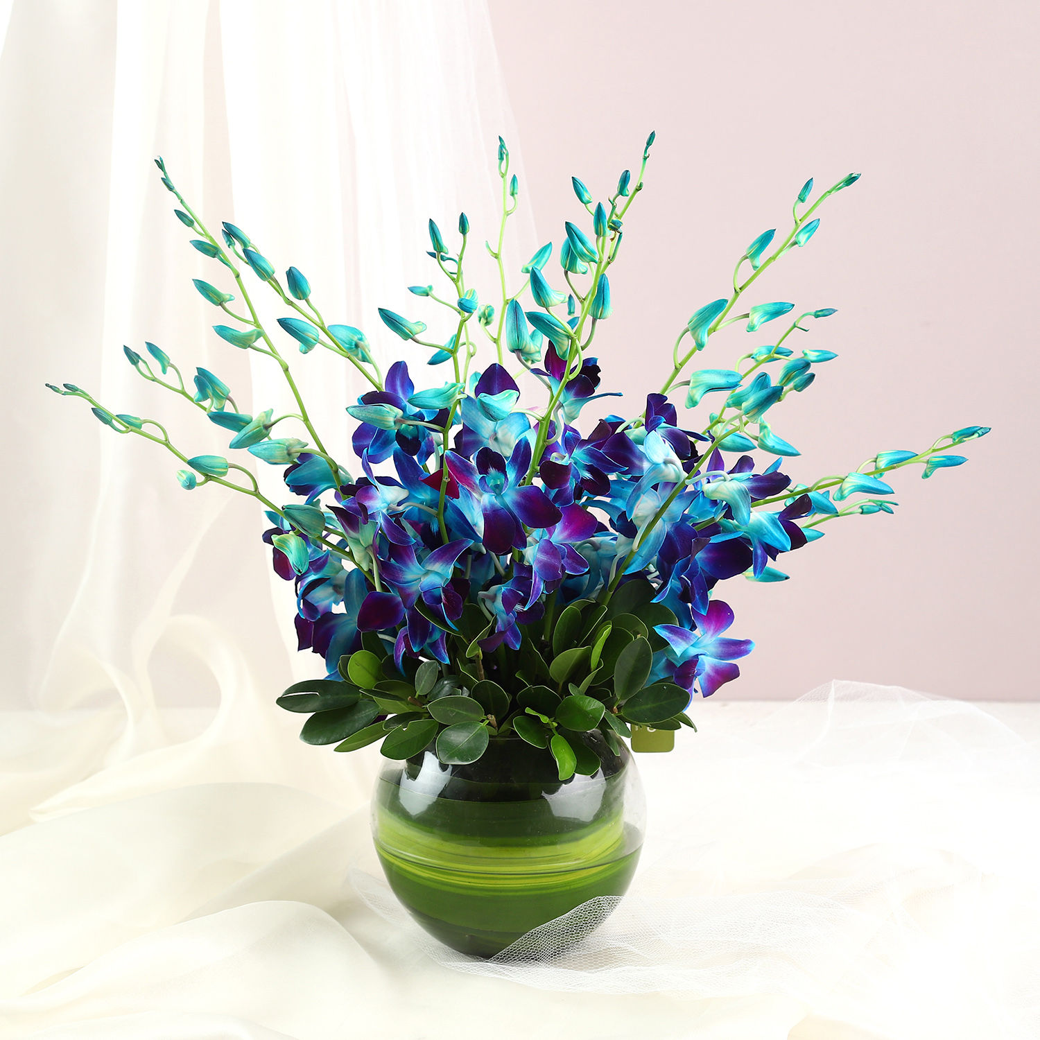 land-of-beauty-vase-arrangement_5.jpg
