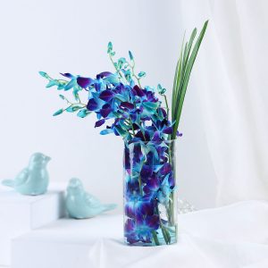 Lovely Orchids & Dandella In Cylindrical Vase