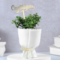 lush-jade-prosperity-congratulatory-planter_1.jpg