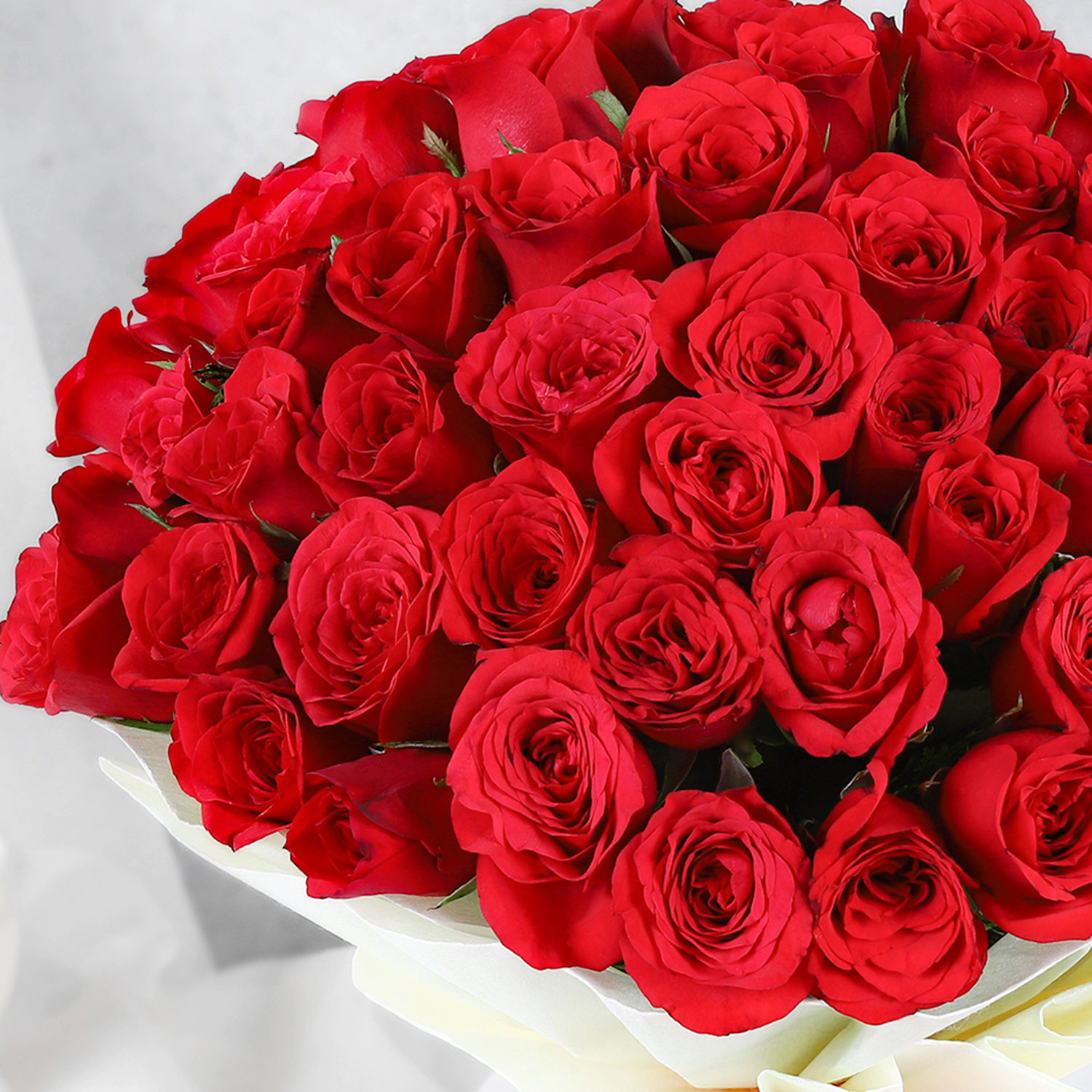 majestic-50-red-roses-bouquet_2.jpg
