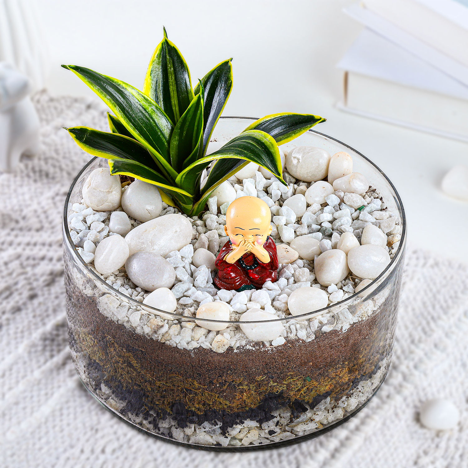 milt-sansevieria-plant-oval-jar-terrarium_2.jpg