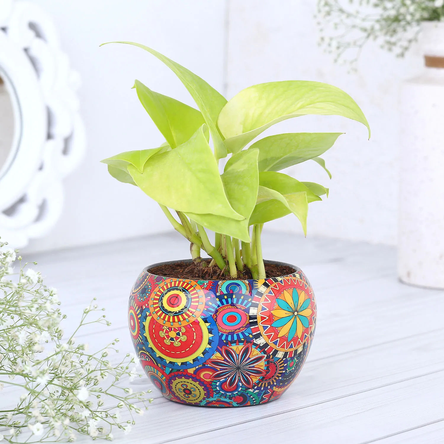 money-plant-in-colourfull-rajwada-printed-pot-hand-delivery_1.jpg