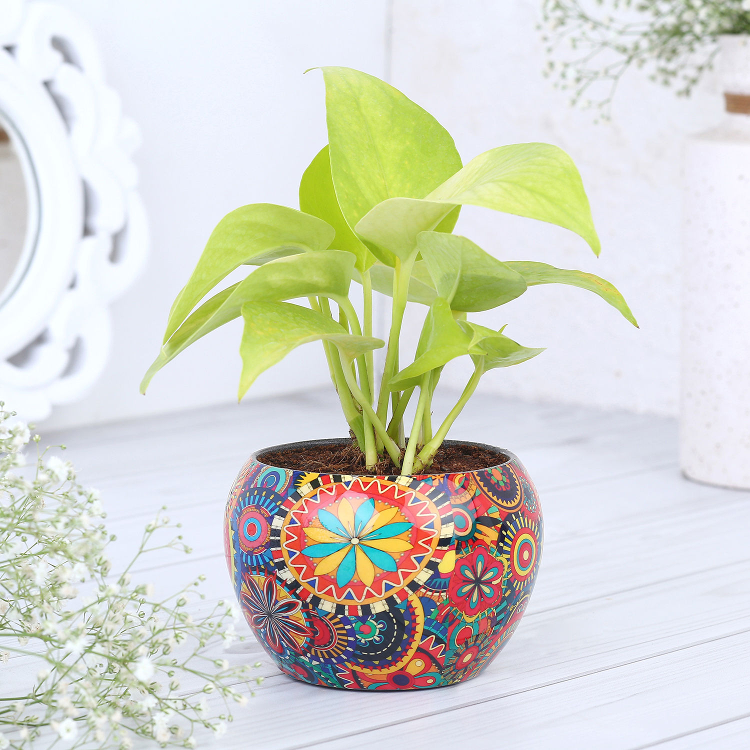 money-plant-in-colourfull-rajwada-printed-pot-hand-delivery_3.jpg