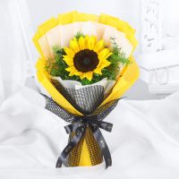 sunflower-sunshine_1.jpg