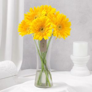 Sunny Gerbera Bouquet for Friendship