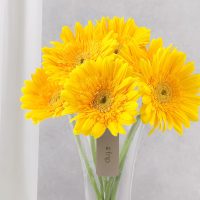 sunny-gerbera-bouquet-for-friendship_2.jpg