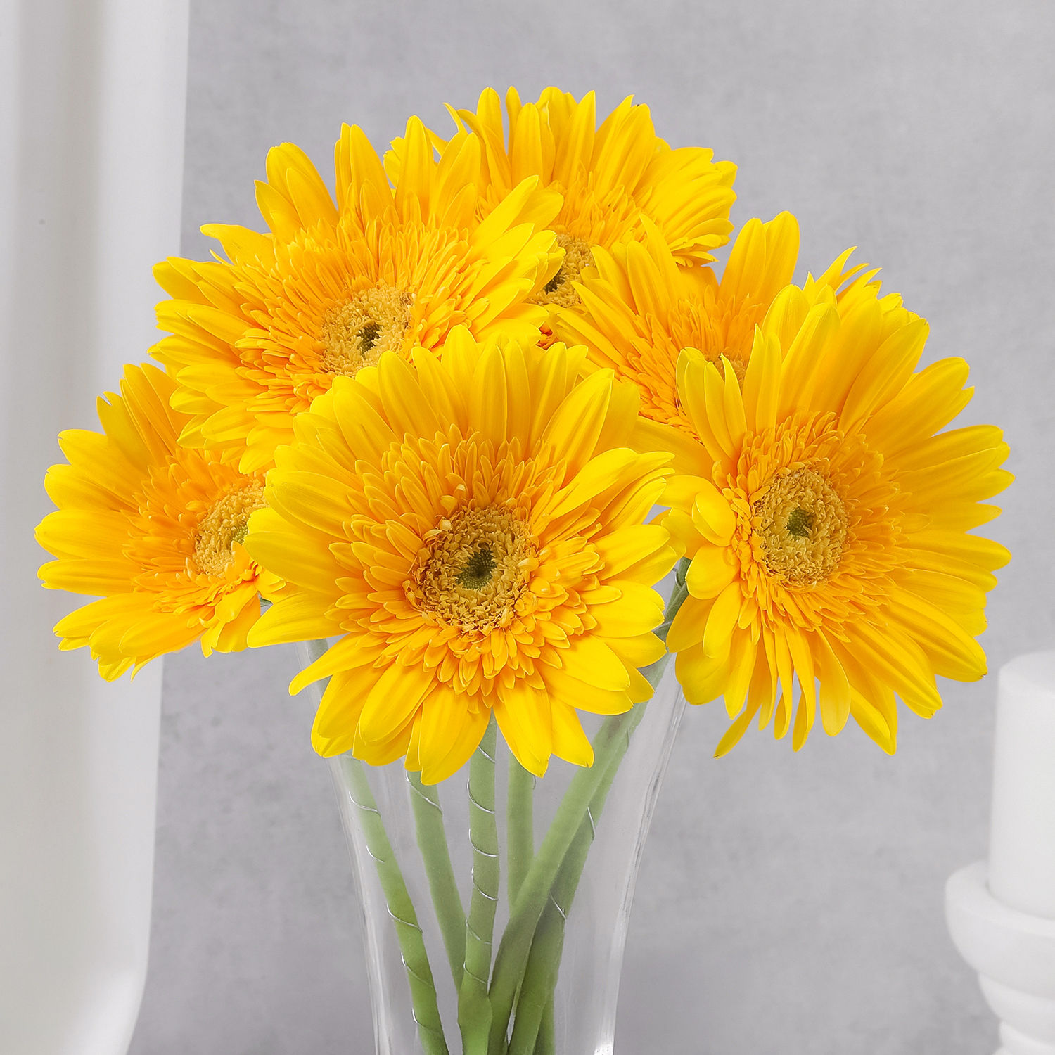 sunny-gerbera-bouquet-for-friendship_3.jpg