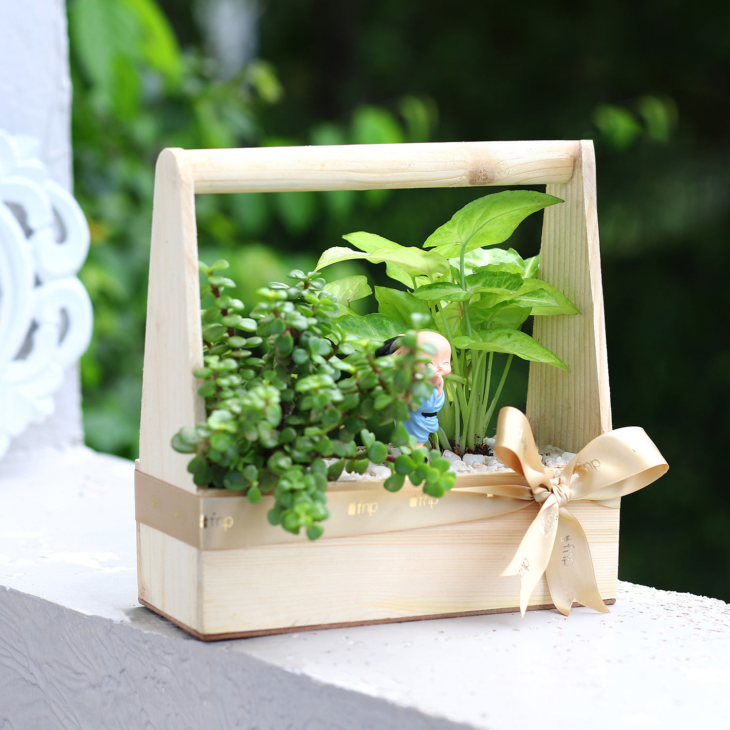 syngonium-n-jade-plant-handle-basket-terrarium_2.jpg