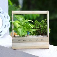 syngonium-n-jade-plant-handle-basket-terrarium_3.jpg