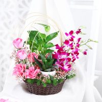 tranquil-orchid-and-greenery-gift_1.jpg