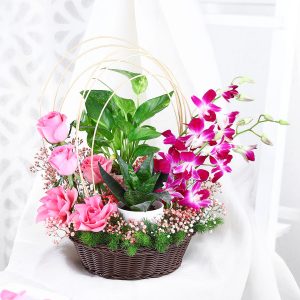 Tranquil Orchid and Greenery Gift