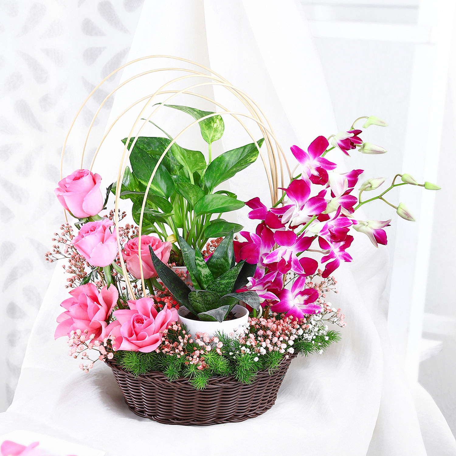 tranquil-orchid-and-greenery-gift_1.jpg