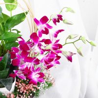 tranquil-orchid-and-greenery-gift_4.jpg