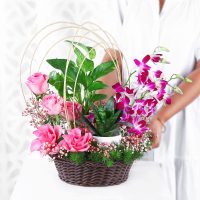 tranquil-orchid-and-greenery-gift_5.jpg