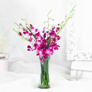 Vibrant Purple Orchid Bunch